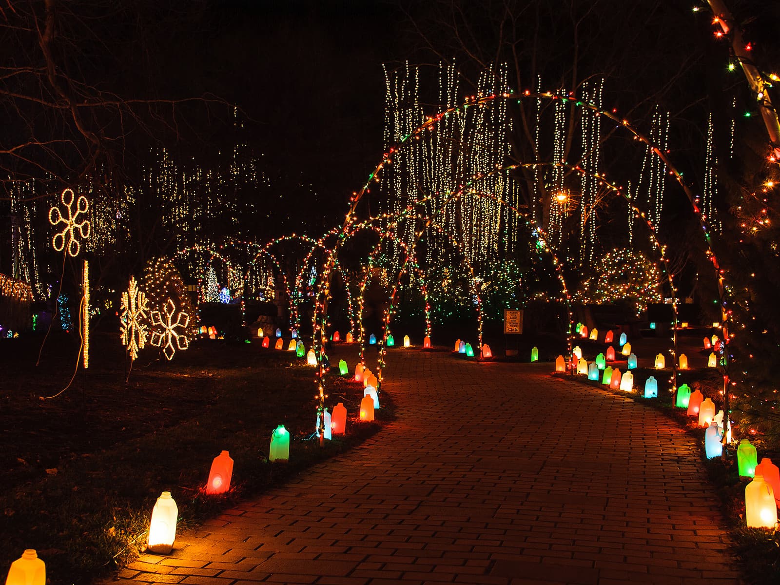 A walkway lit up with thousands of holiday lights