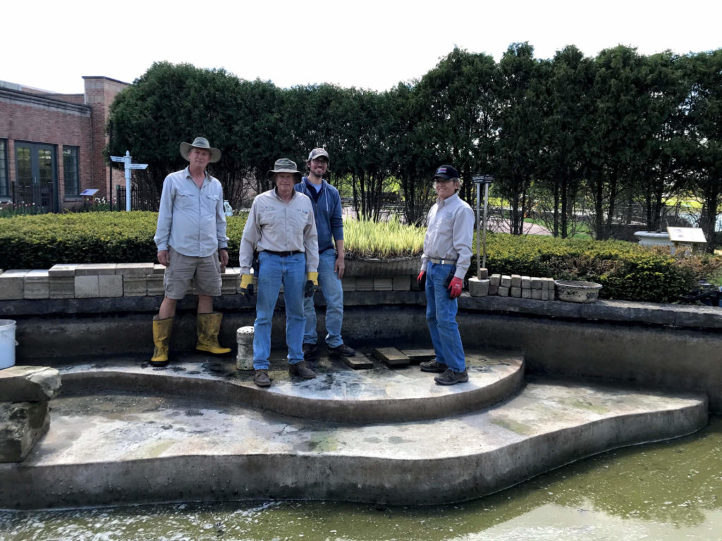 Koi pond renovations underway