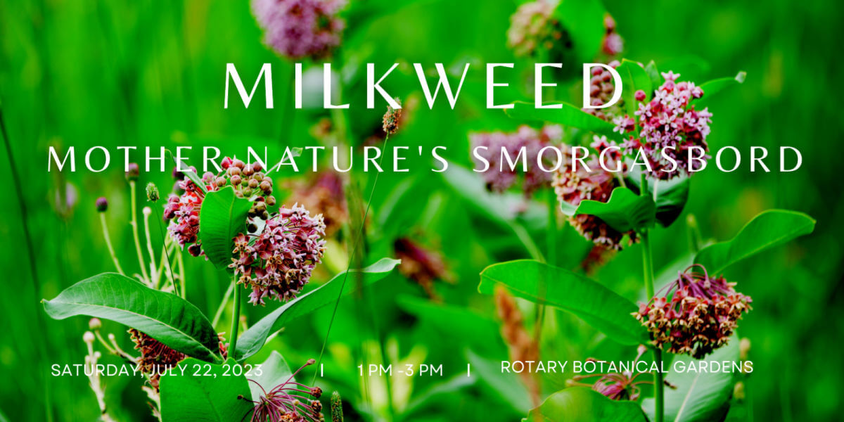 2023 Milkweed Presentation banner