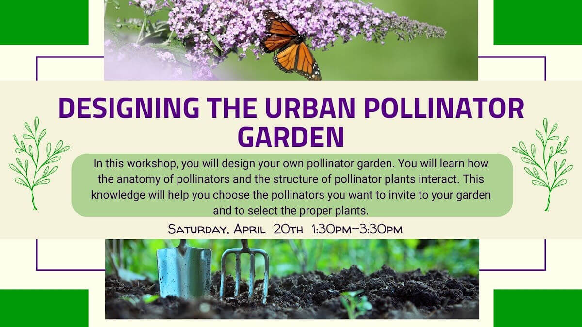 Designing the Urban Pollinator Garden banner