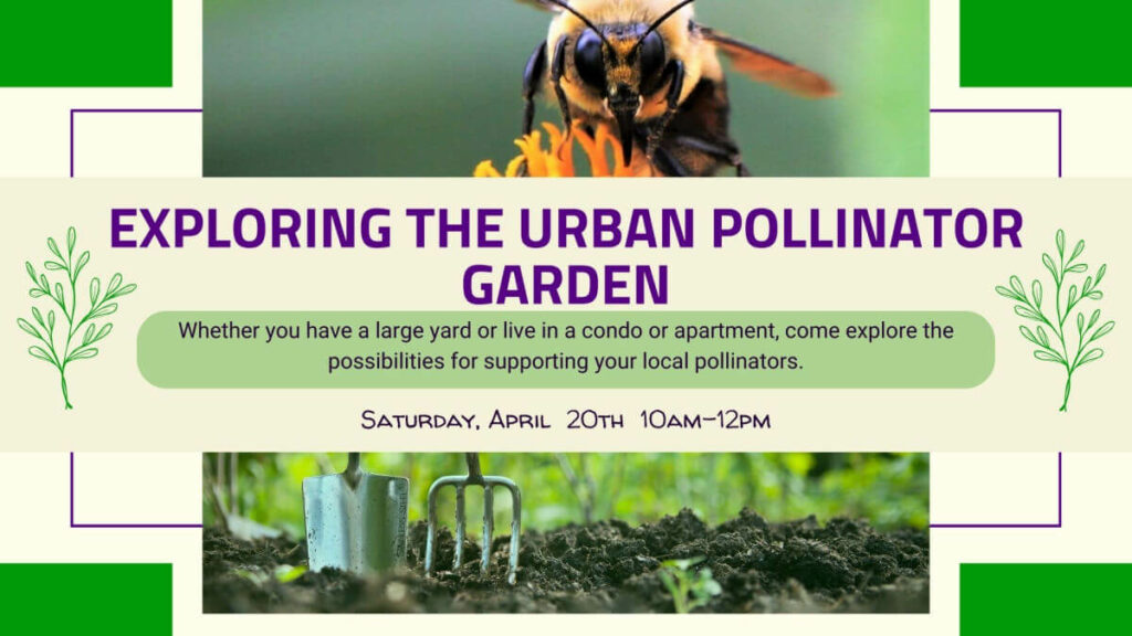 Exploring the Urban Pollinator Garden banner