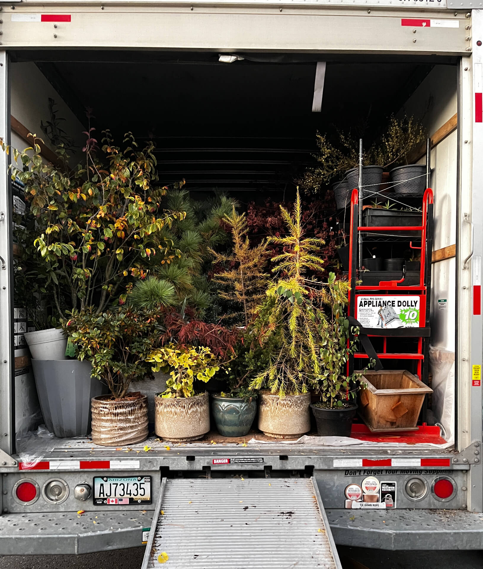 A view of some of my plant collection loaded onto a U-Haul.