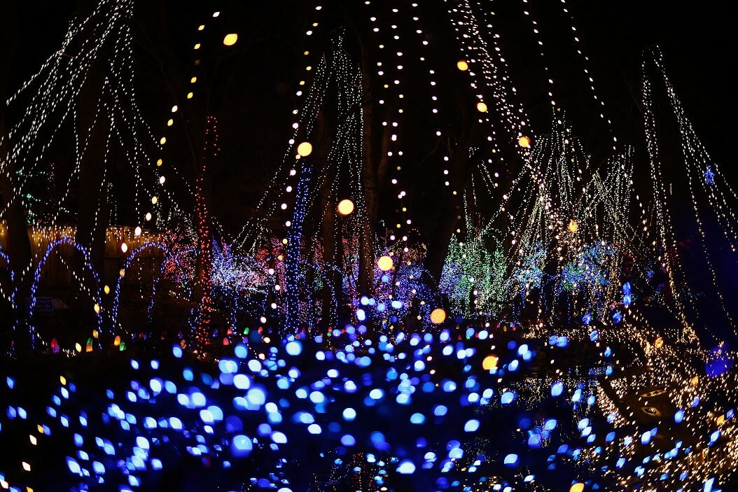 A view of the 2023 Rotary Botanical Gardens Holiday LIght Show