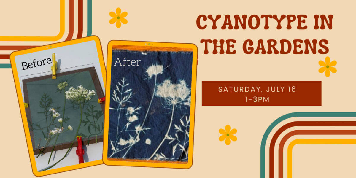 July 2022 Cyanotype in the Gardens banner