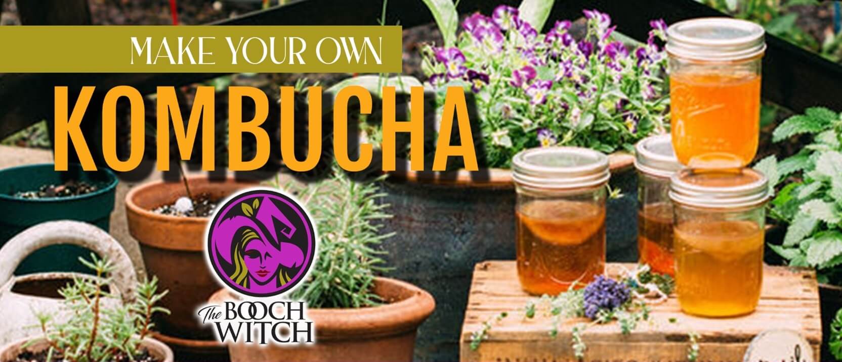 Learn to Make Kombucha at Home banner