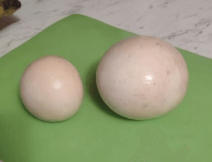 Puff balls (Lycoperdon perlatum)
