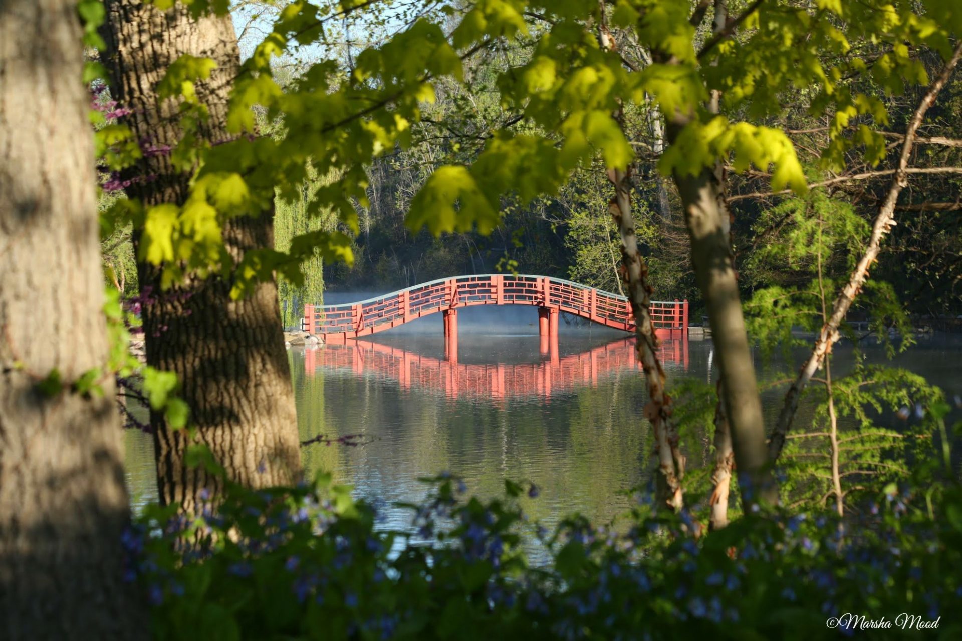 Rotary Botanical Gardens' iconic Red Japanese Bridge
